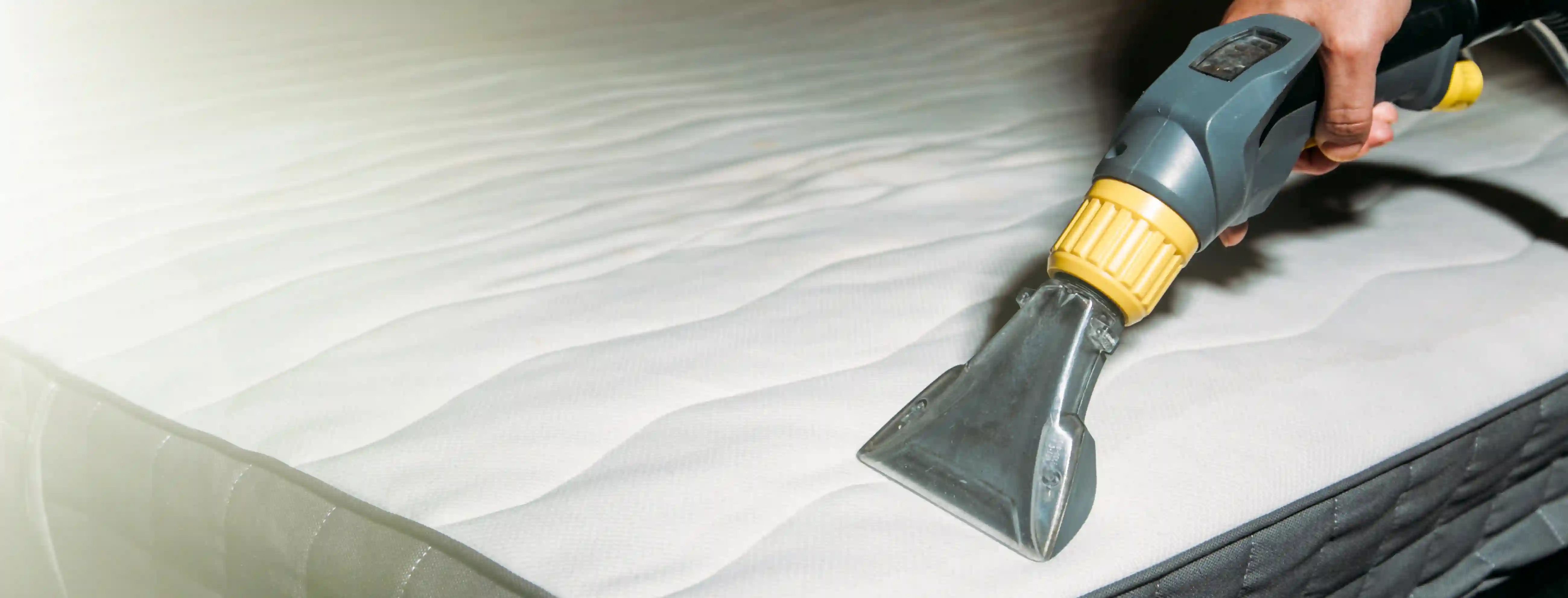 Revitalize Your Prized Rugs & Carpets